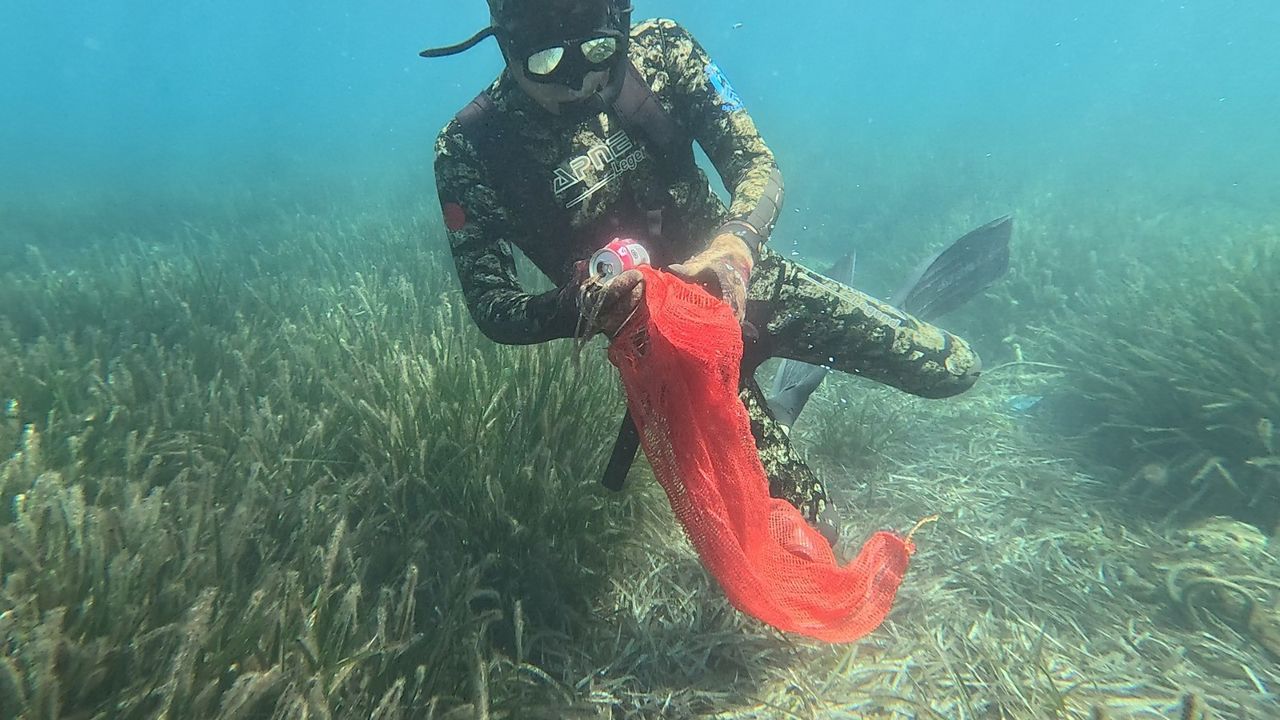 Bodrumda Deniz Dibi Temizlendi (2)