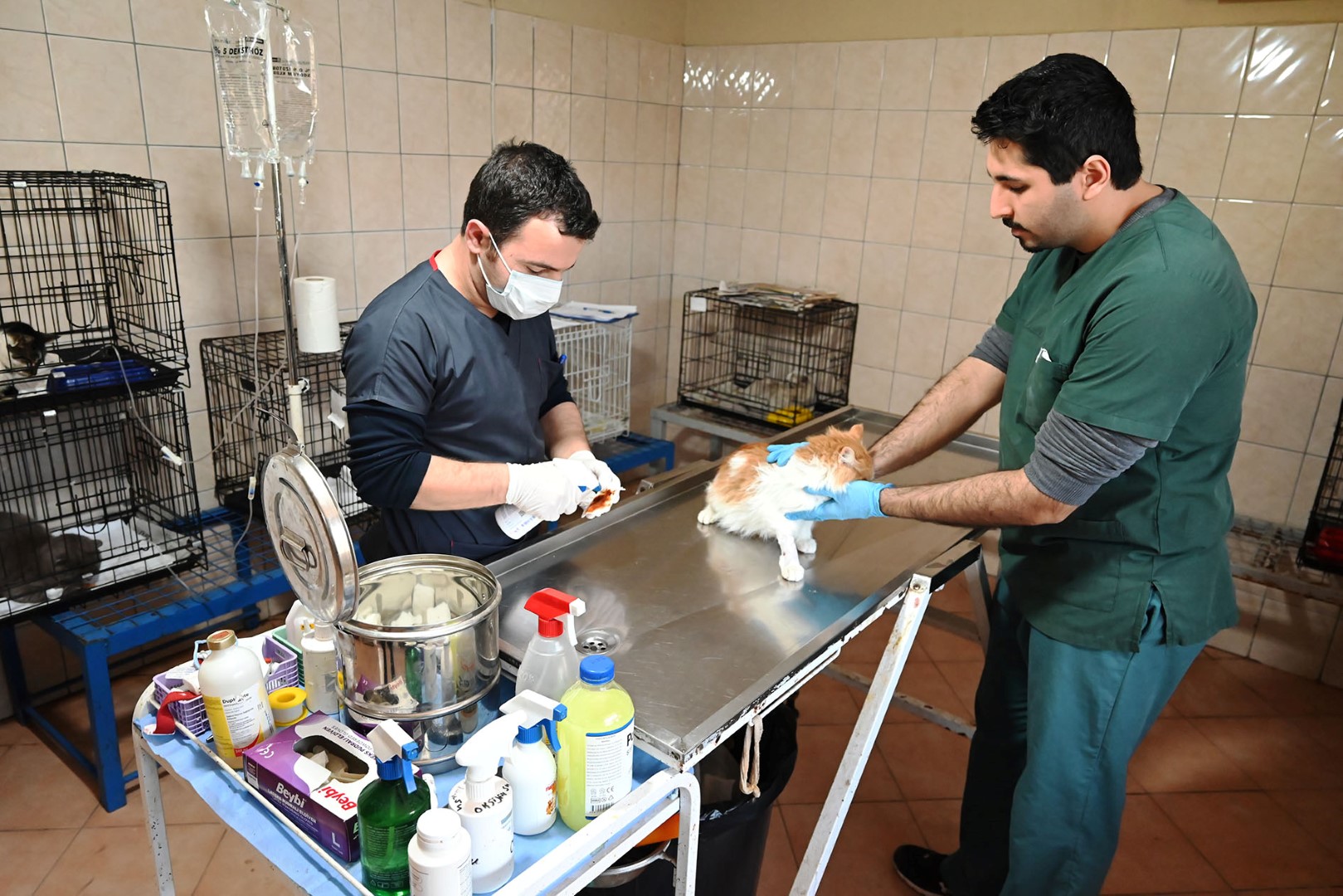 Can Dostlar (2)-1