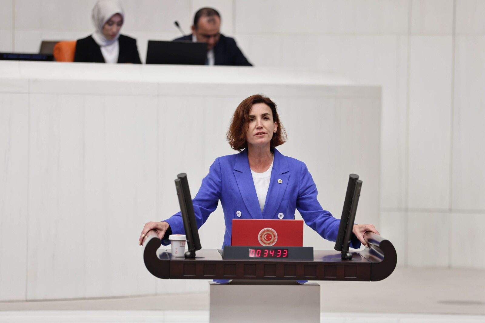 Erşim Engeli (1)