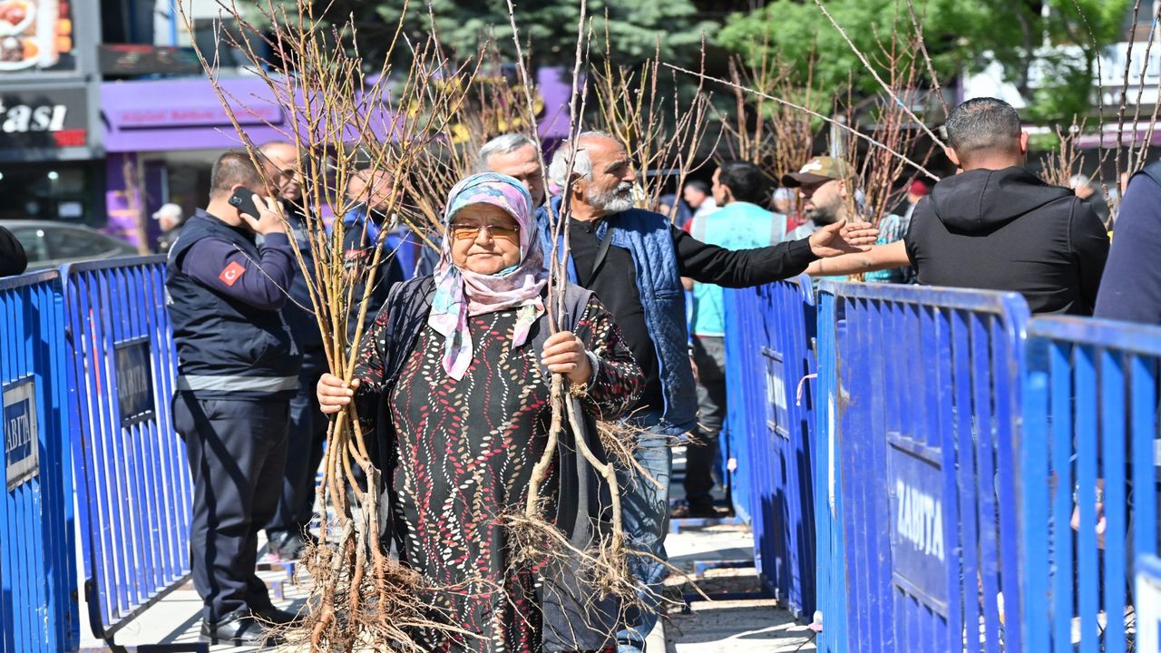 Isparta Belediyesi Fidan (2)