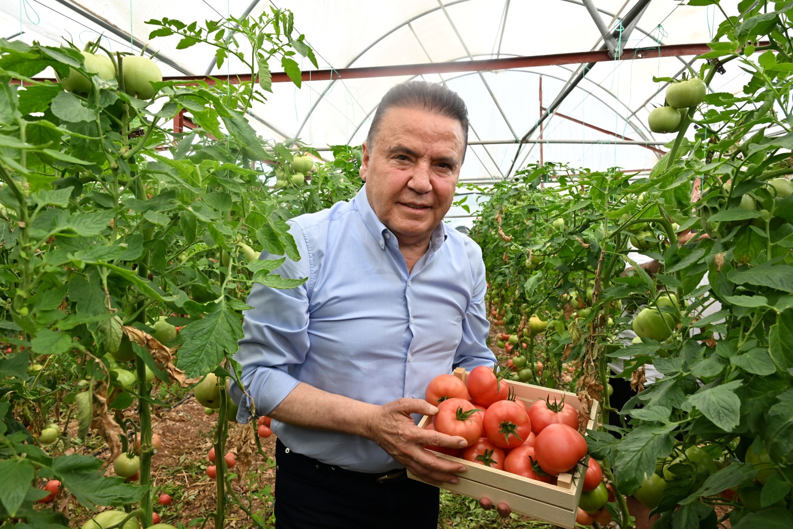 Iv. Uluslararası Foodfest Gastronomi Festivali Domates Hasadı Ile Başladı (6) (Large)