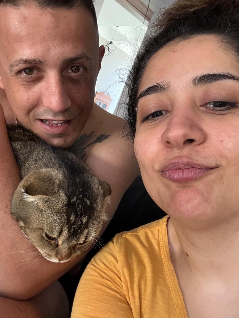 Kayıp Kedi (3)