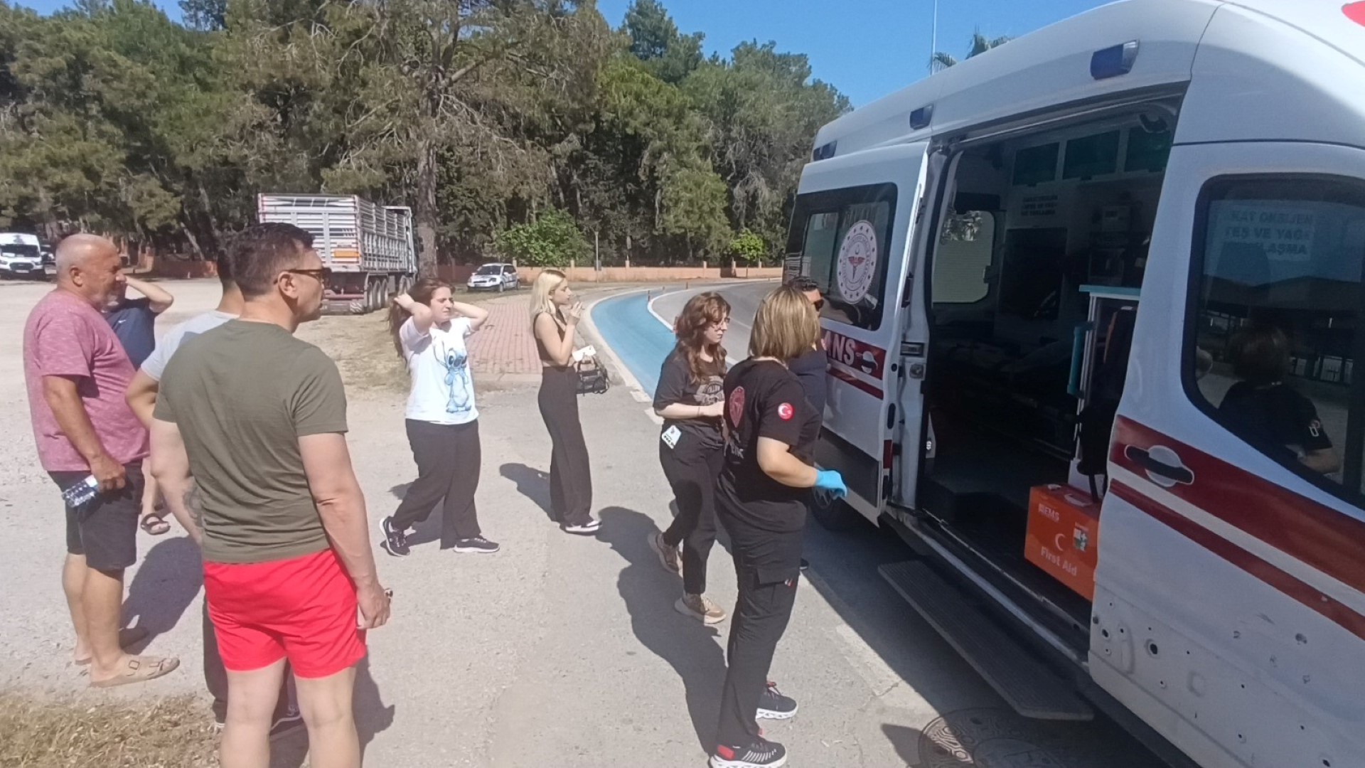 Kazaya Giren Bahçe (2)