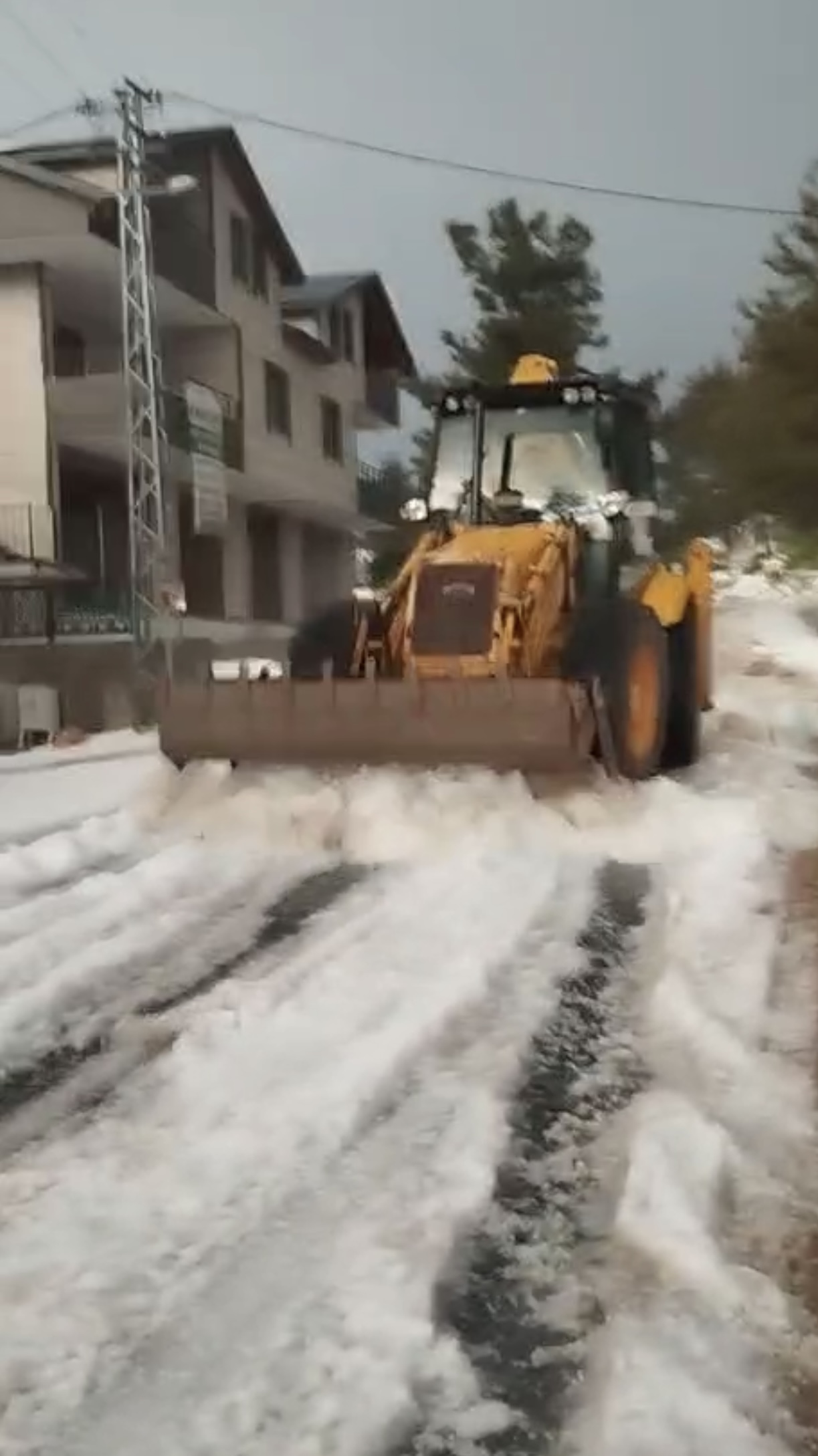 Mersin Dolu (1)