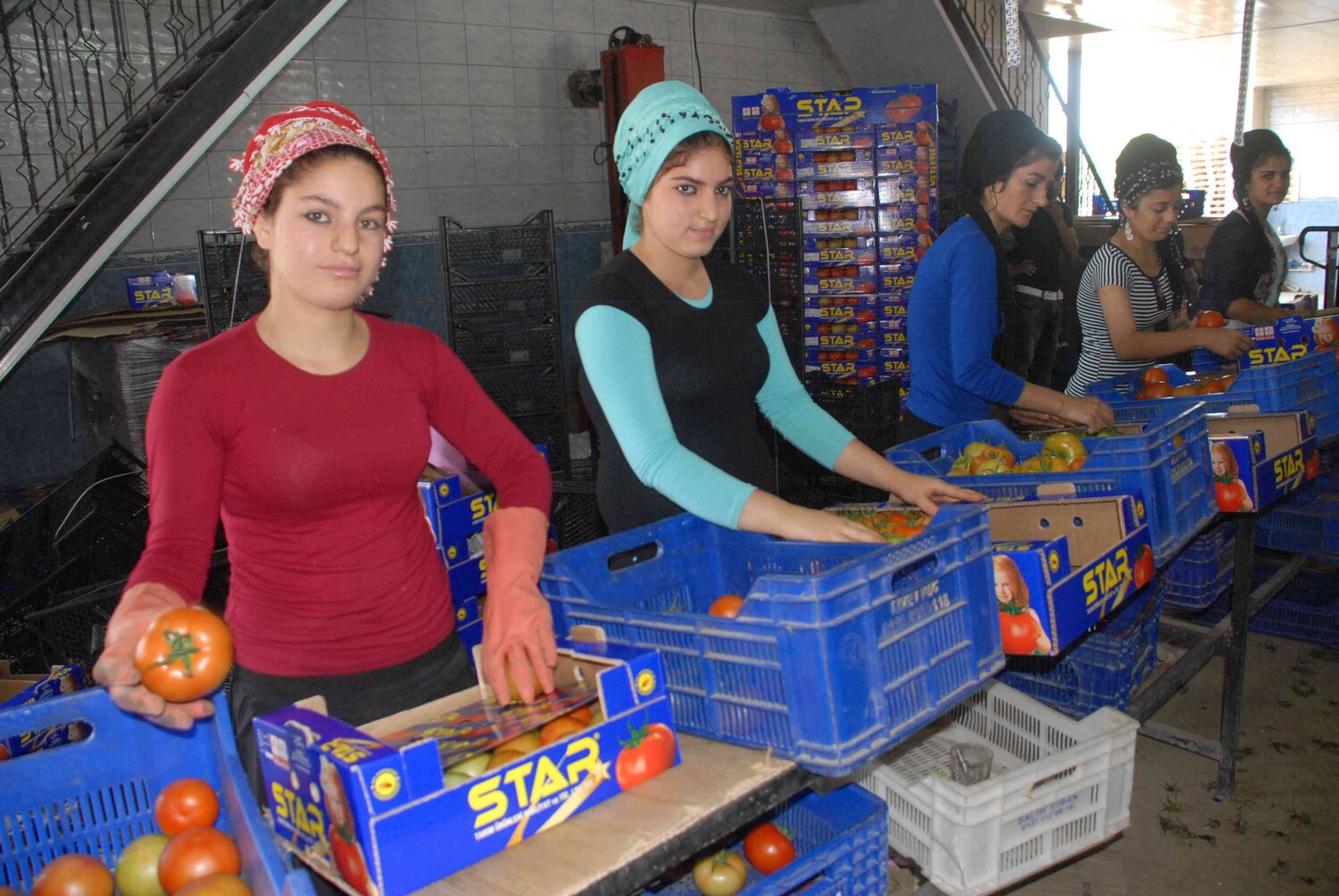 Nisan Ayında Muğla’dan Ülke Ekonomisine 95,2 Milyon Dolarlık Ihracat Katkısı (3)