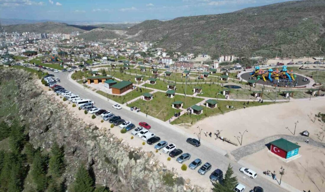 Orman Talan (2)