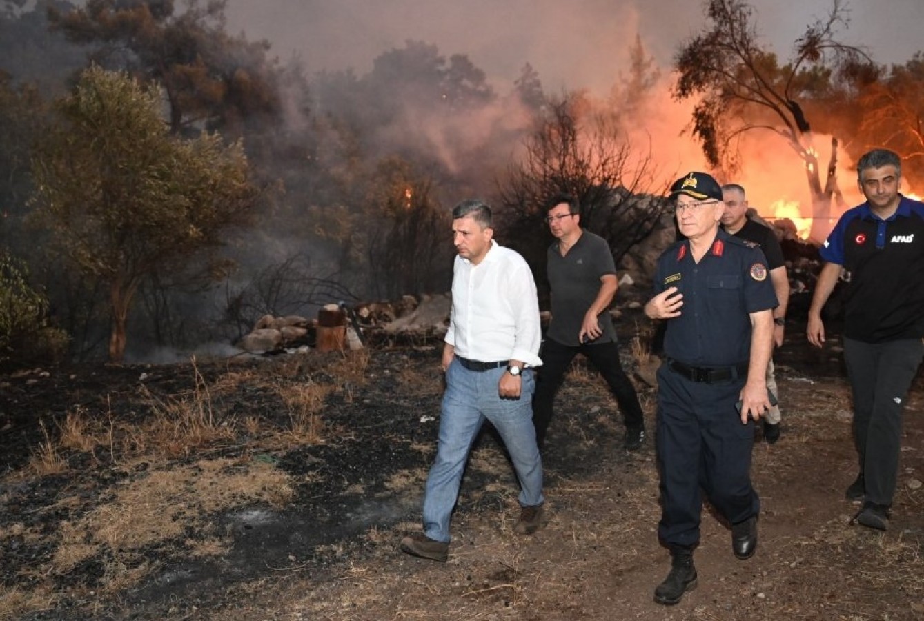 Orman Yangını (6)