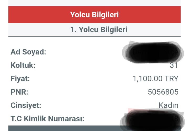 Otobüs Ve Uçak Bileti (4)