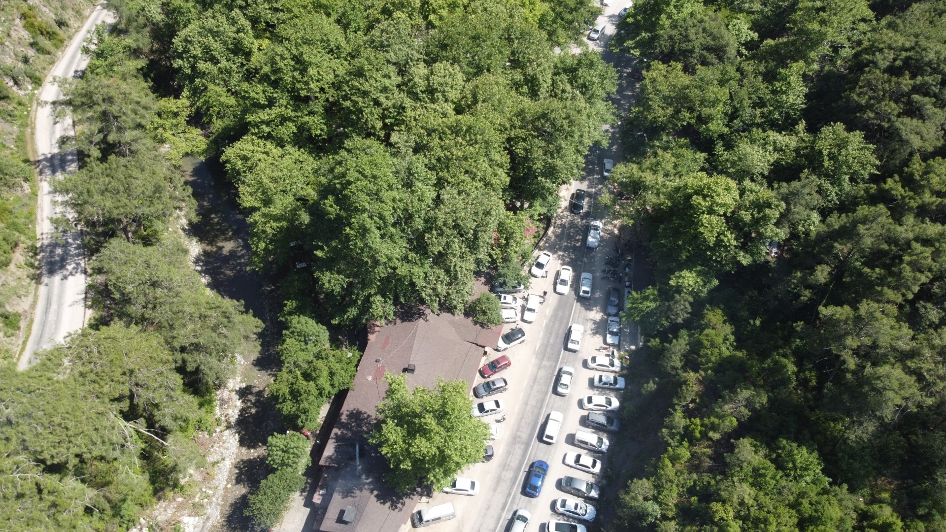 Sıcaktan Kaçanlar, Tabiat Parkında Serinledi (1) (Large)