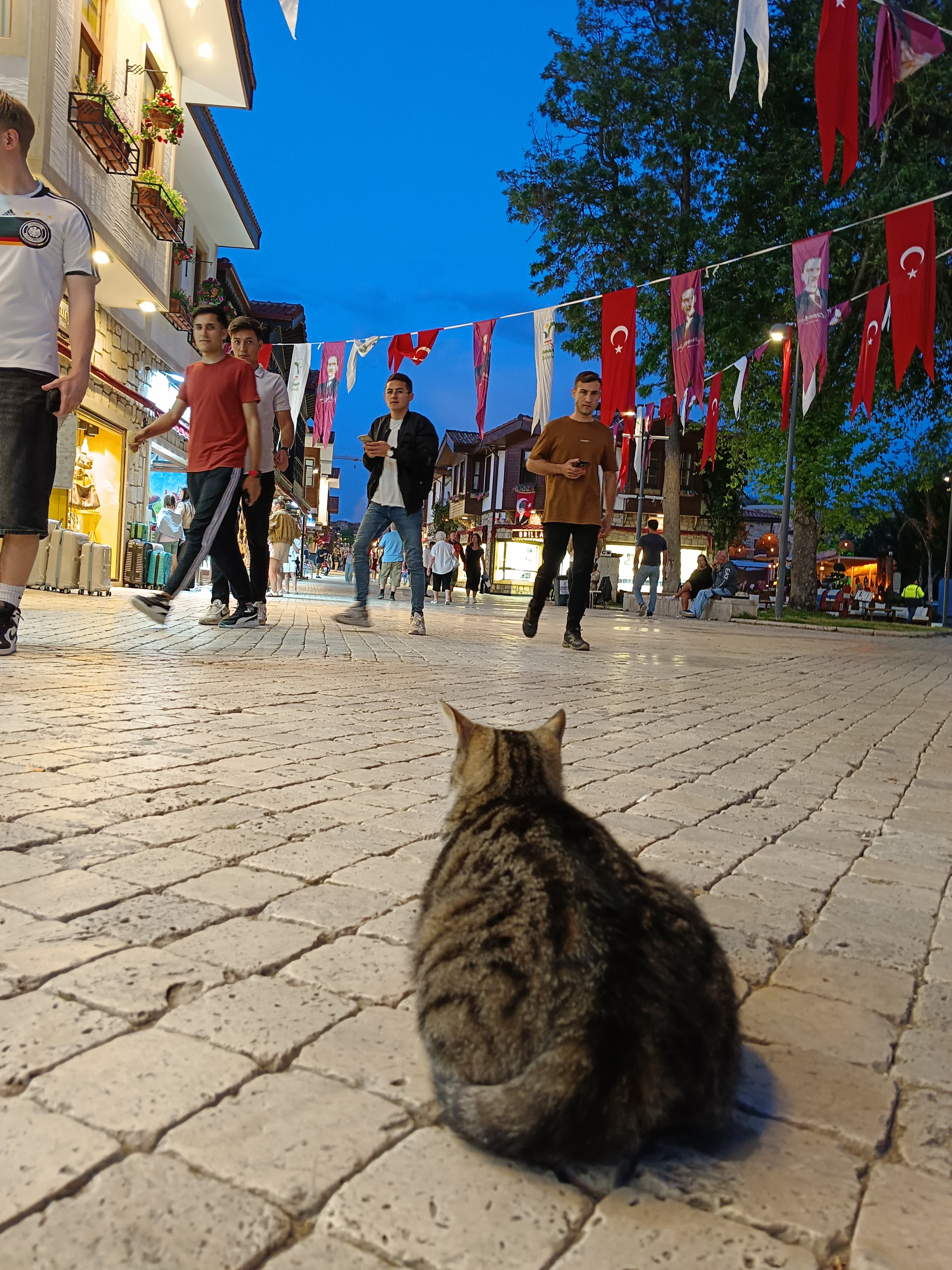 Side Bütün Toplumların Ülkesi (1)