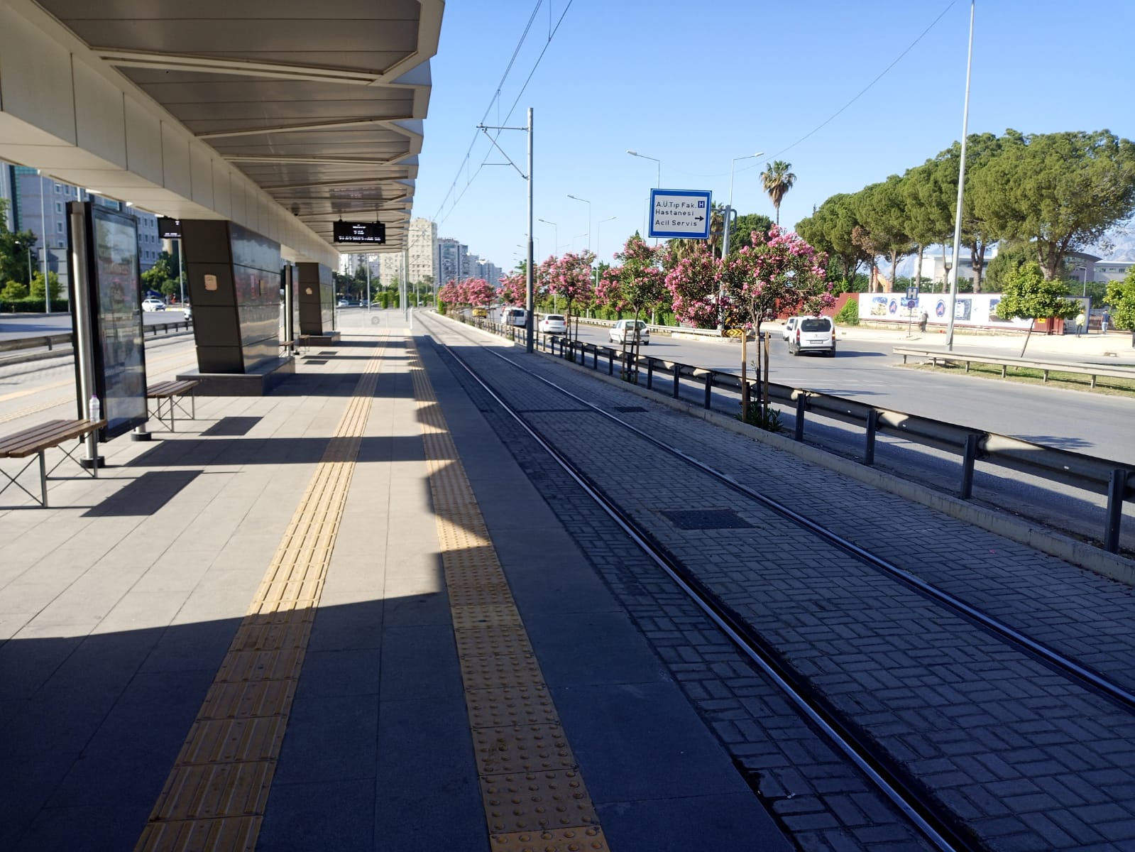 Tramvayda Bisiklet Sürücüsü (1)