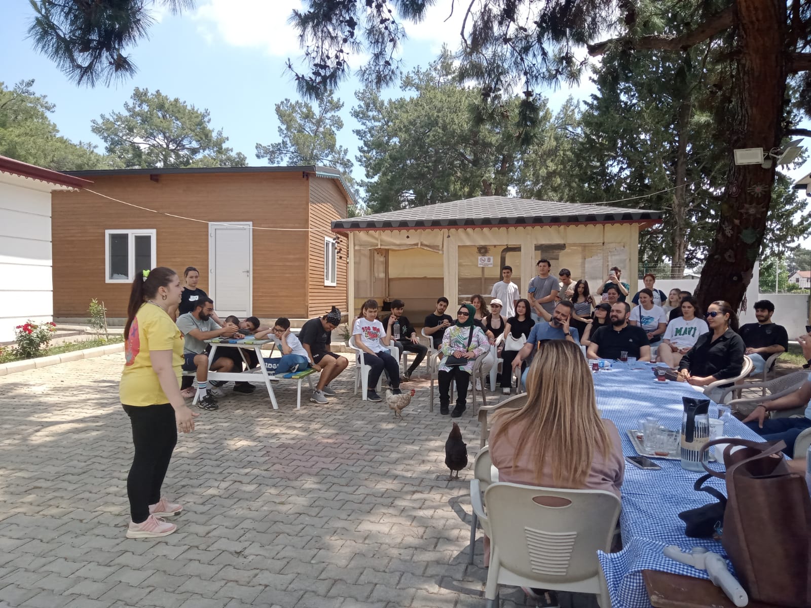Umutlu Dokunuş (1)
