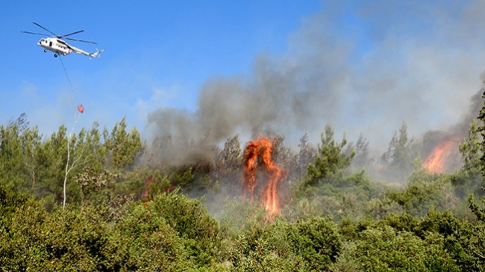 Yangın Müdahale (4)