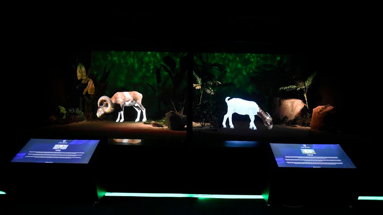 Dünyada bir ilk: Dijital hayvanat bahçesi