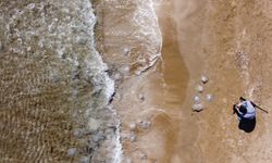 Mersin kıyılarını deniz anaları bastı… Uzmanlar uyardı dikkat edin