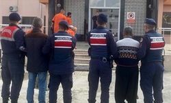 Avokado hırsızları Alanya’da yakalanarak tutuklandı