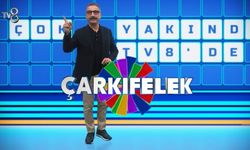 Çarkıfelek Cem Davran mesleği ne, ne iş yapıyor, kaç yaşında, evli mi, çocuğu var mı, hangi dizi ve filmlerde oynadı?