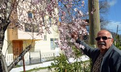 Antalya’nın o ilçesine çiçek şoku… Mart ayının ortasında ağaçlar çiçek açtı