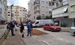 Antalya ceviz büyüklüğündeki dolunun yaralarını sarıyor