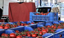 Domatesin memleketi Antalya’da domatesin fiyatı arttı