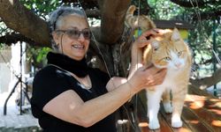 Antalya’da Norveçli kadın yüzlerce hayvanın hayatına dokundu