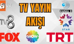 TV YAYIN AKIŞI (1 Nisan) Kanal D, Show TV, NOW TV, ATV, TRT1, TV8, Star TV hangi dizi ve programlar var