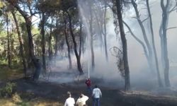 Antalya’nın o ilçesinde korkutan yangın… İlçe sakinleri tedirgin