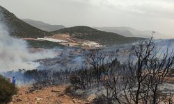Korkuteli'nde korkutan yangın… 60 dönümlük alan yandı