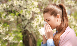 Bahar aylarında milyonlarca vatandaşı etkileyen bahar alerjisine karşı çözüm Anadolu propolisi