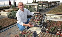 Antalya’da kaktüsler için yeni hedef belirlendi