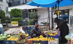 Tarımın başkenti Antalya’da limon pazarın gözdesi oldu