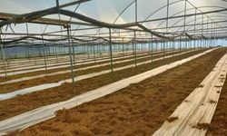Antalya’nın o yaylalarında büyük değişim… Köyler artık tarım yapacak