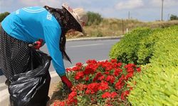 Antalya’nın o ilçesinin çehresi değişiyor… Çiçek bahçesine dönecek
