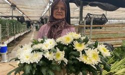 Annelere 35 liralık çiçekler Antalya’dan gidecek