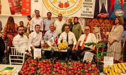 Antalya’da çiftçiler ürünlerini yarıştırdı