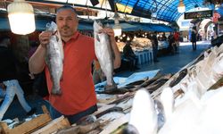 Balıkçılar bakanlığa seslendi… Halk ucuz balık tüketsin