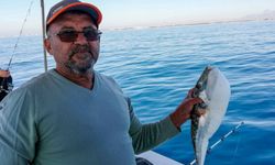Antalya’da balon balığı tehlikesi.. Avlayanlara 116 bin 300 lira ödeme yapılacak