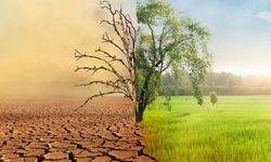İklim değişikliği hastalıkları hortlattı… Uzmanlar uyardı