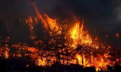 Büyük yangın felaketi yaşayan Antalya diken üstünde… Antalya yangına hazır mı? Bölge Müdürlüğü sessiz!
