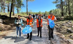 Antalya Serik’teki ormanlar temizlendi