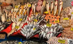 Antalya’da balıklar denizden değil dolaptan geliyor