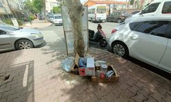 Antalya’da ağaç dipleri çöplüğe döndü