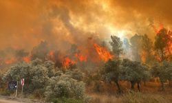 Antalya'da ormanlar yanıyor… Antalya Valiliği sessizliğini koruyor