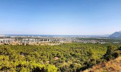 Antalya ormanların halka açılmasını istiyor