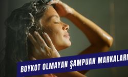 Boykot Olmayan Şampuan Markaları Nelerdir? Türk Malı Şampuanlar Hangileri?