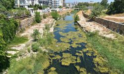 Antalya tehdit altında… Kent Konseyi uyardı!