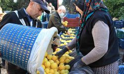 Antalya pazarında limonun fiyatını görenler inanamadı