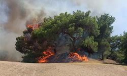 Başkan Böcek’ten orman yangını mesajı… Lara yangını sürüyor