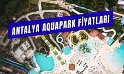 Antalya Aquapark Fiyatları 2024! Antalya'da Aquapark Nerede? Giriş Ücreti Ne Kadar?