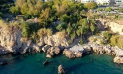 Antalya Lara Sahili’nde Bambus kavgası… Karşılıklı açıklamalar ardı ardına geldi